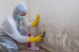  Homeacre Lyndora, PA Mold Remediation Pros